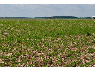 Property photo 79 - LAND AUCTION - 700+/- ACRES OFFERED IN 16 TRACTS IN ALLEN COUNTY, INDIANA
